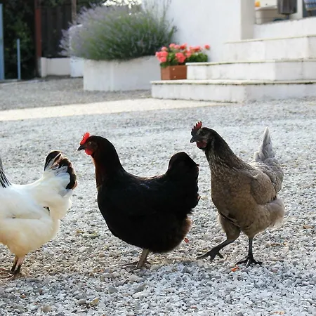 The Gites At Le Tilleul - 2 Independent Gites With Pool, Playpark, Gym, Sauna & Gardens Le Lindois